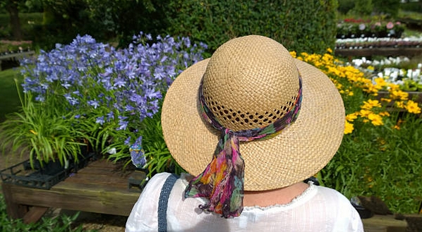 canicule2018-8.jpg