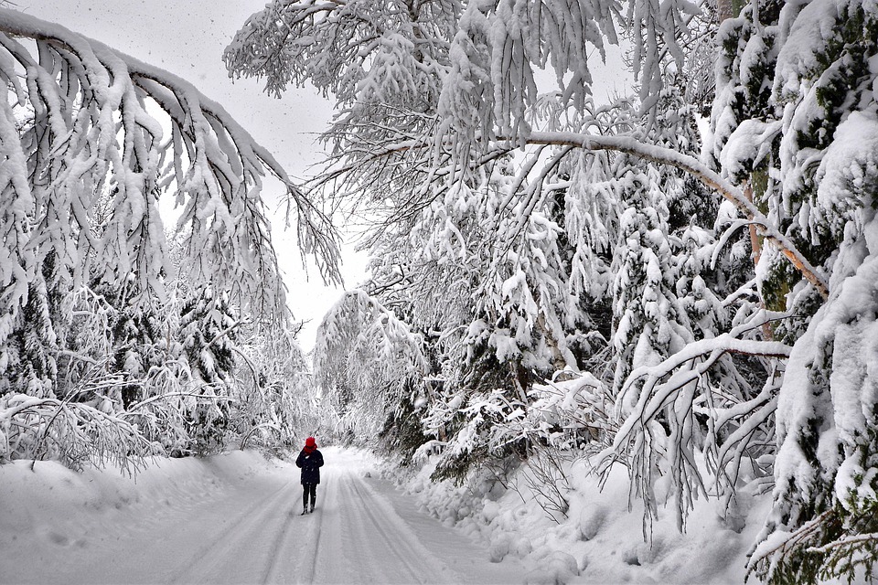 neige2022-2.jpg