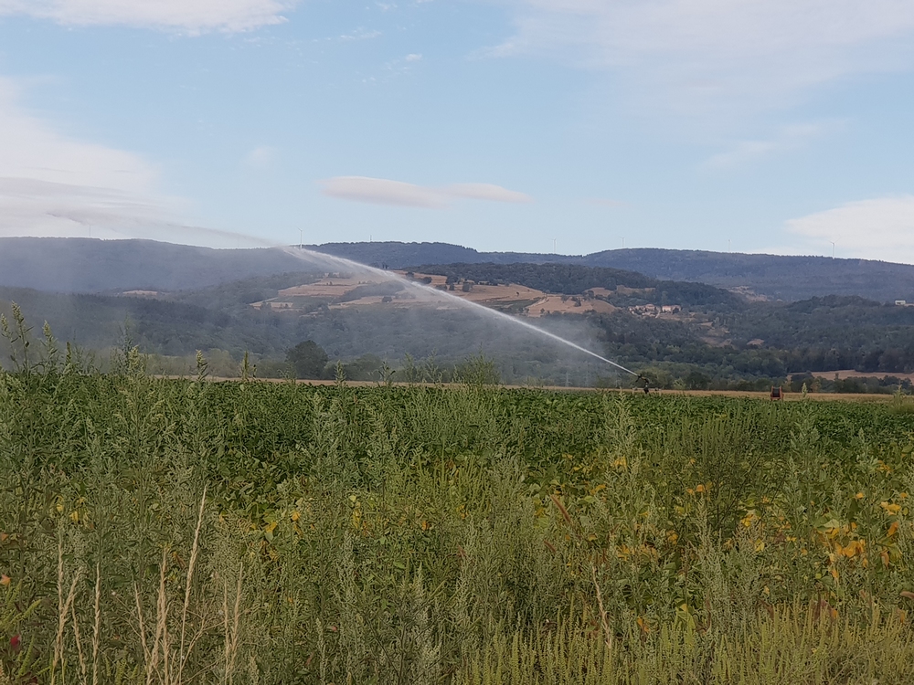 mais27082020.jpg