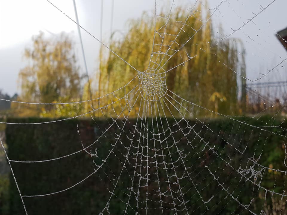 meteo22112020-2.jpg