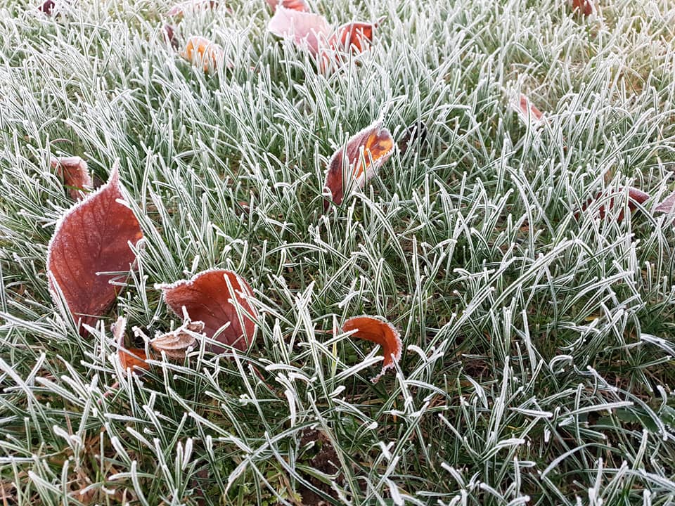 meteo23112020.jpg