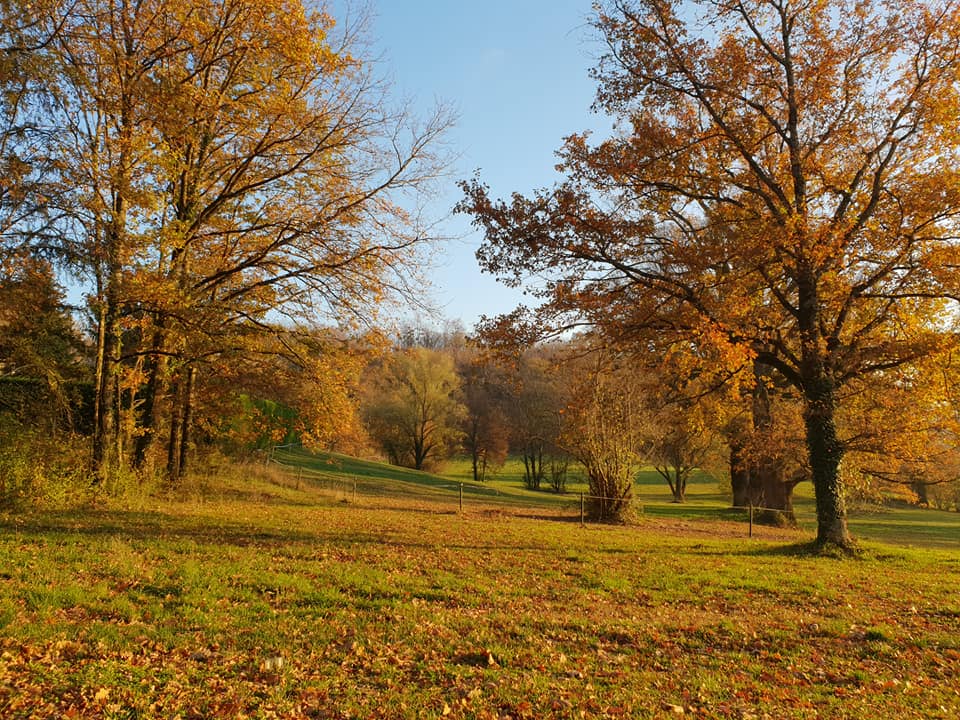 meteo24112020-2.jpg