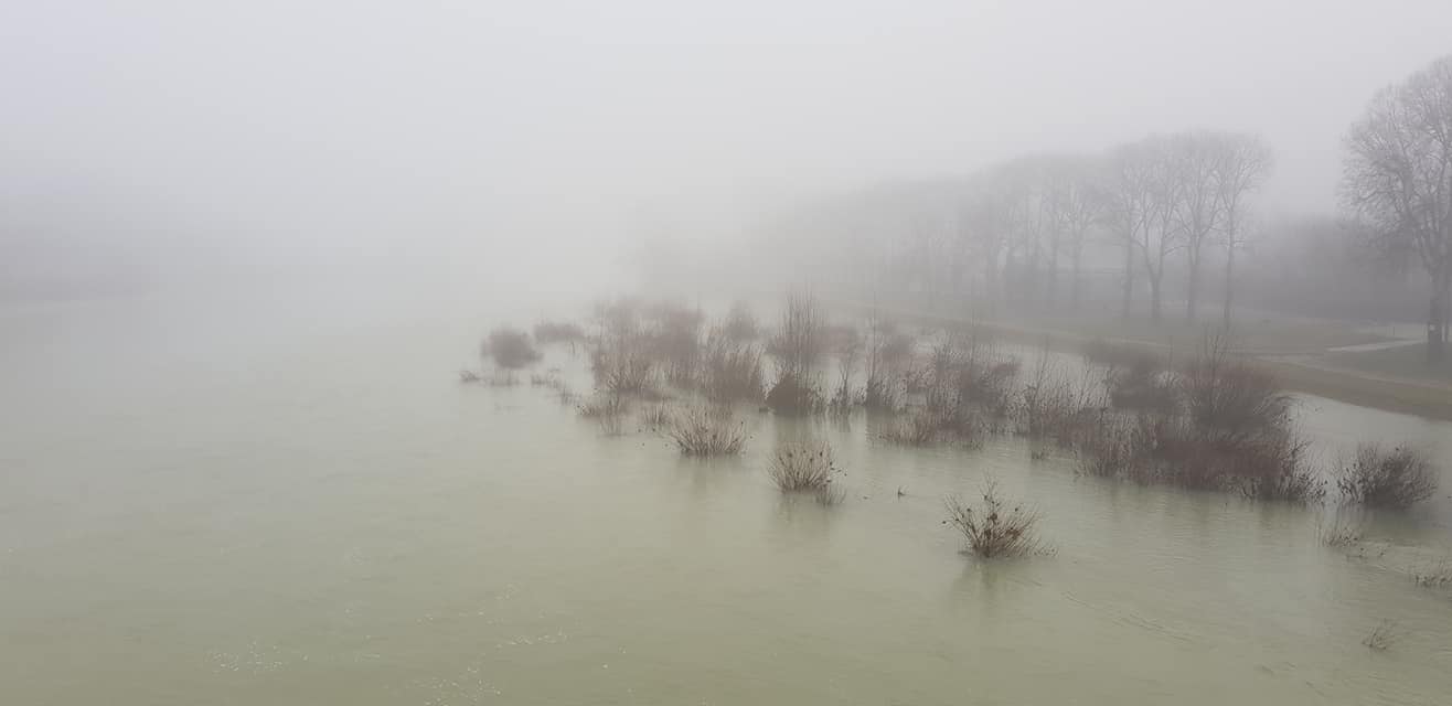brouillard31122021-2.jpg