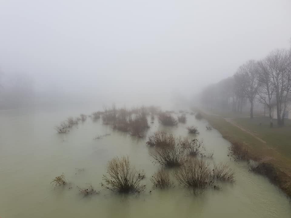 brouillard31122021-3.jpg
