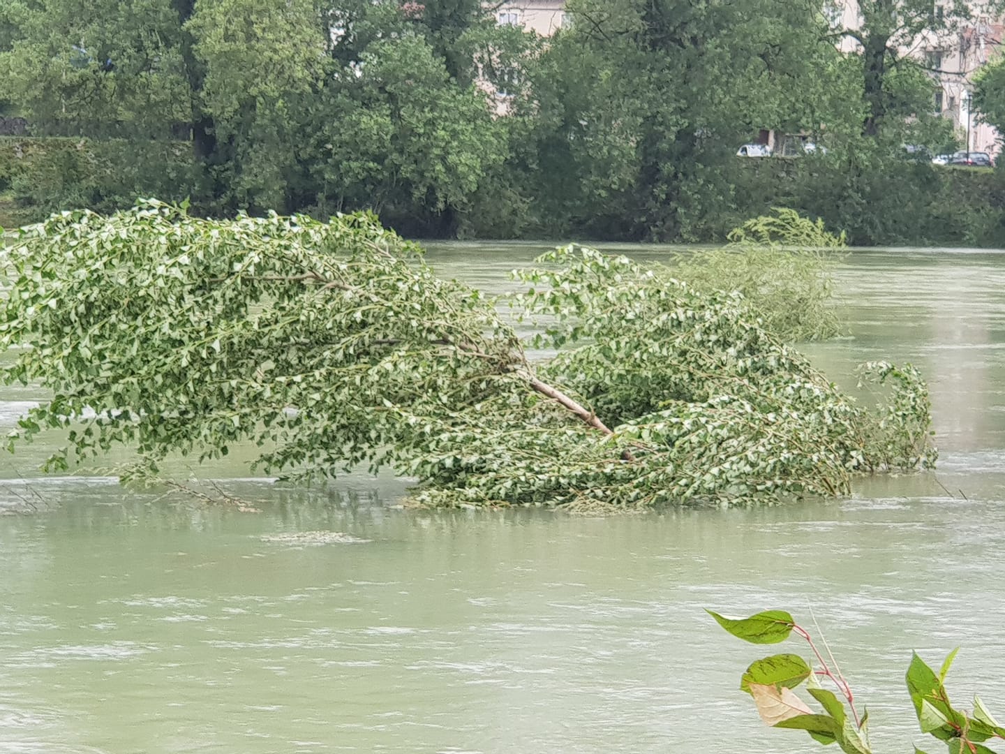 meteo17072021-2.jpg