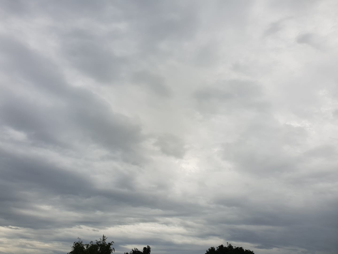 meteo29062021.jpg
