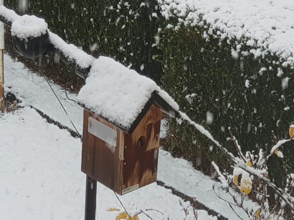 neige28112021-2.jpg