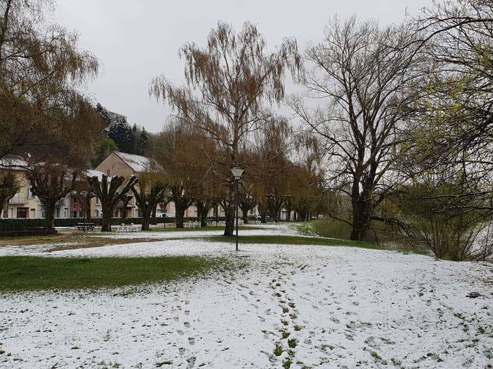 ain01042022.jpg