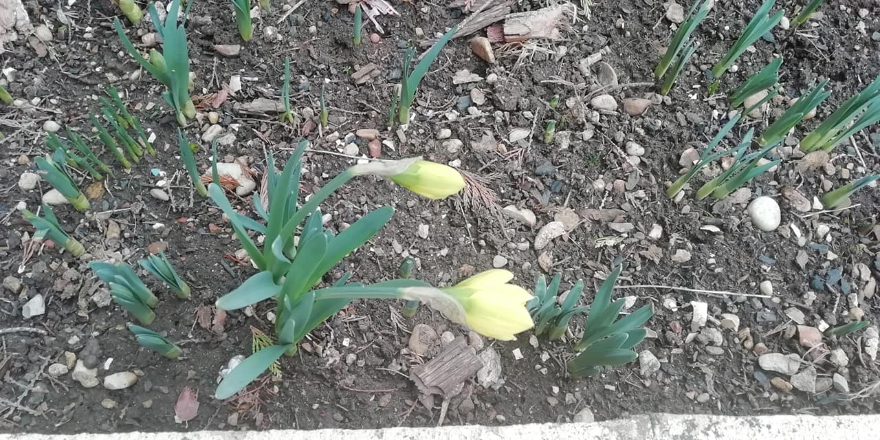 ain06022022.jpg