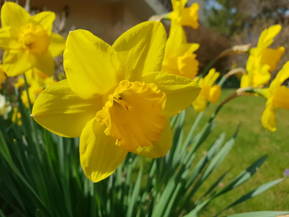 ain24032022-2.jpg