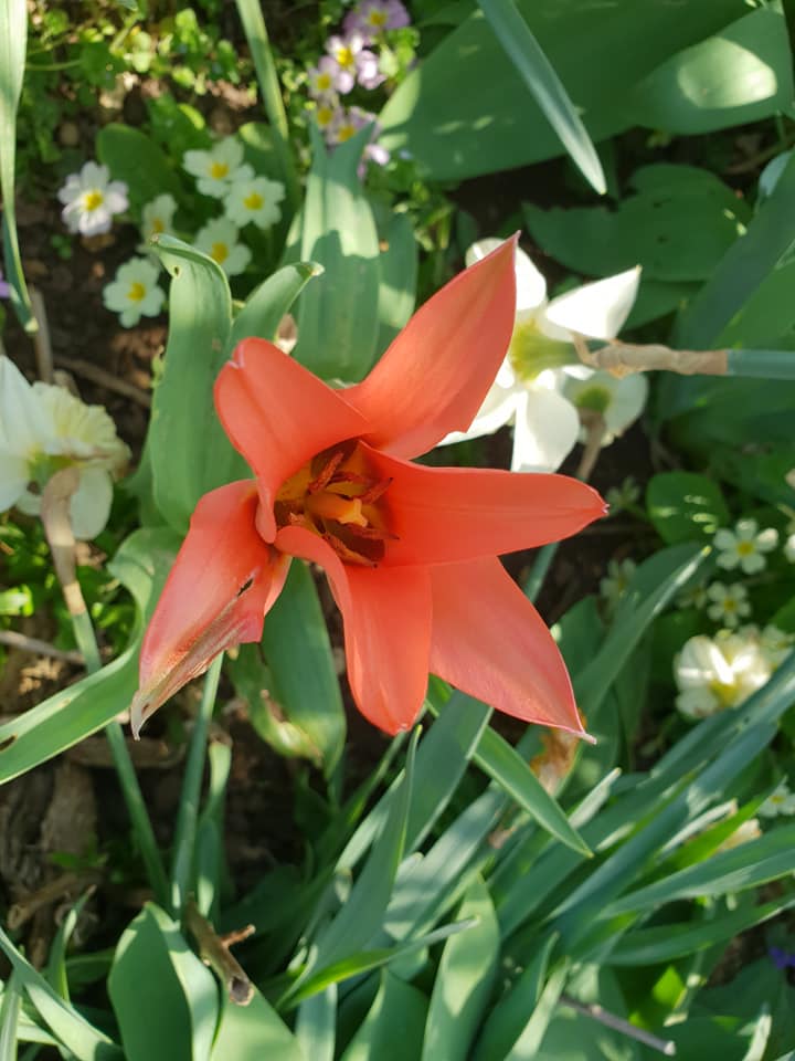 ain24032022-3.jpg