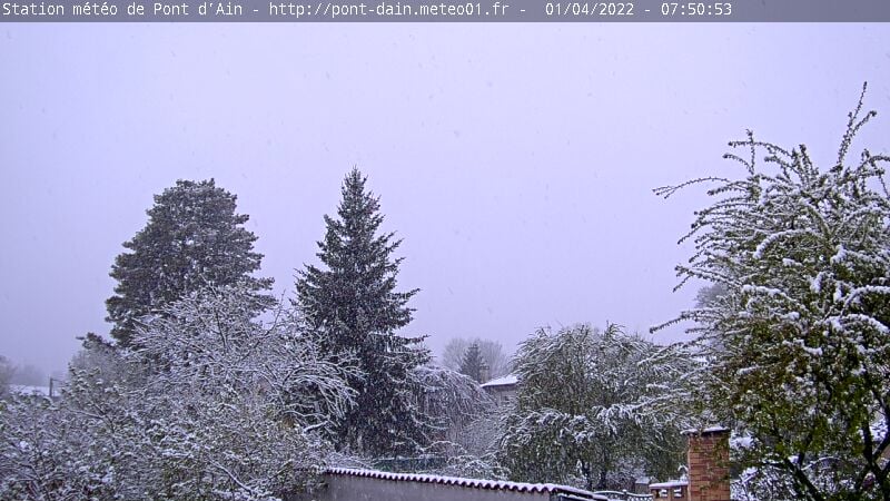 cam01042022.jpg