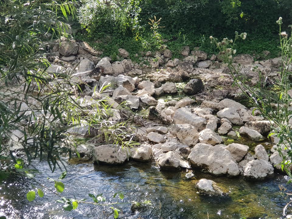 suran07072022.jpg